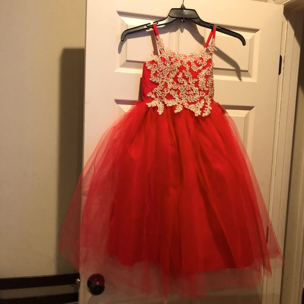 Stunning tulle dress with lightly gold beaded bodice.